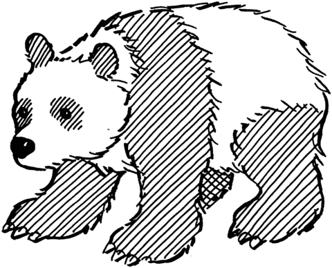 Giant Panda Coloring Page